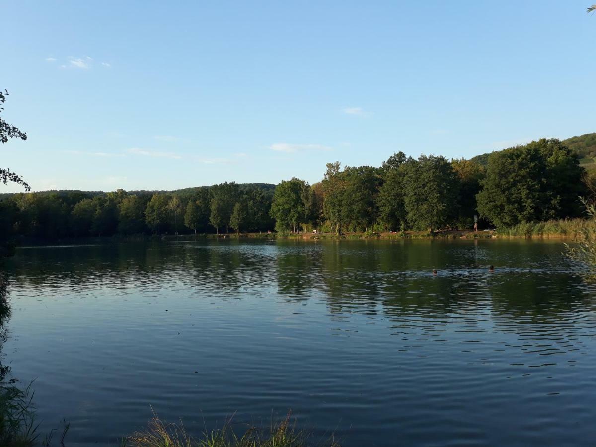 Thuja Am Weinberg Vaihingen an der Enz Exterior foto