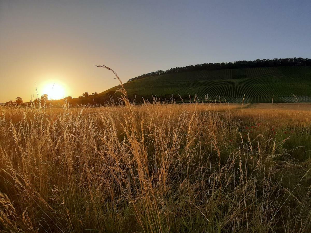 Thuja Am Weinberg Vaihingen an der Enz Exterior foto