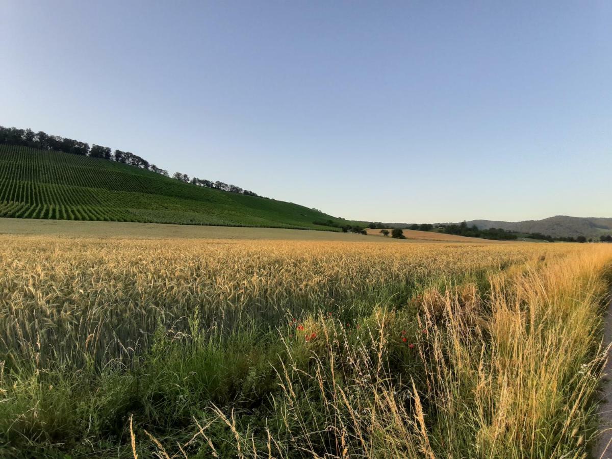 Thuja Am Weinberg Vaihingen an der Enz Exterior foto